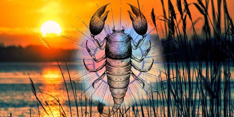 Obdobje znamenja škorpijona