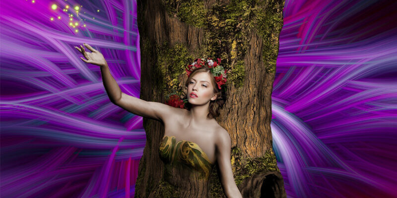 preobrazbe v življenju